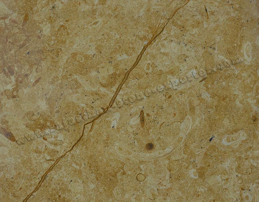 Indian Flower Gold Marble Slabs Suppliers