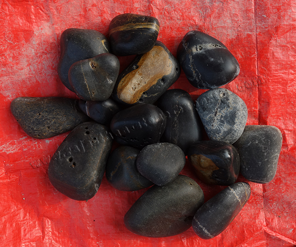 Charcoal Black Limestone Pebbles