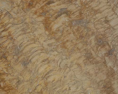 Panther Sandstone Manufacturers in India